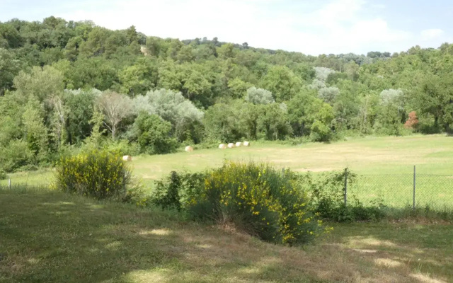 Scappo in Umbria, la Cantinetta