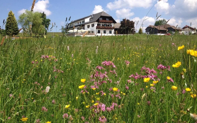 Forellenwirt