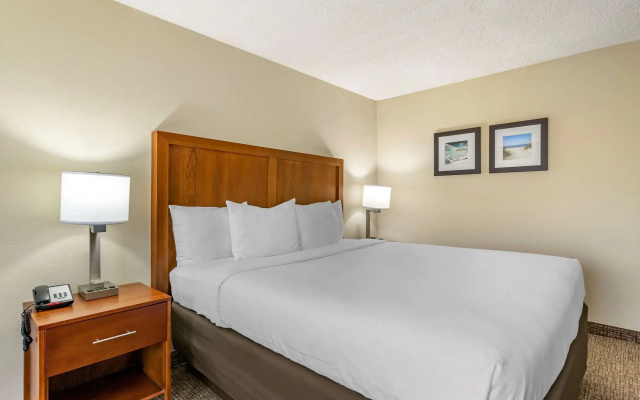 Comfort Inn & Suites St. Pete - Clearwater International Airport