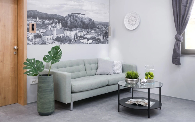 Vila Emona - Central Apartments - Free Parking