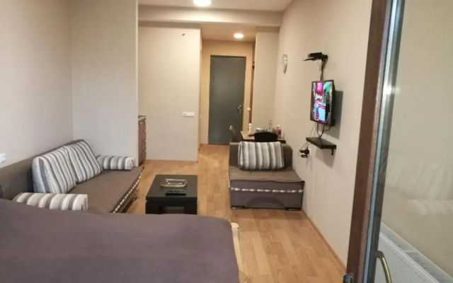 Studio in Bakuriani City