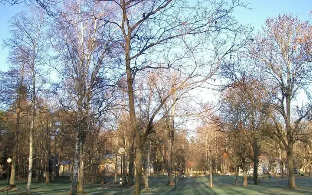 Tamminiemi Lomakeskus