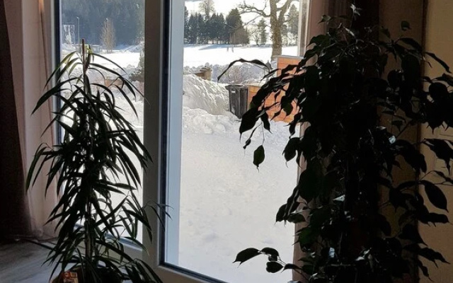 Ferienhaus Victoria