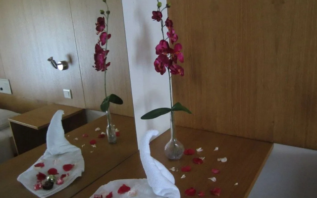 Eco Salvador Hotel