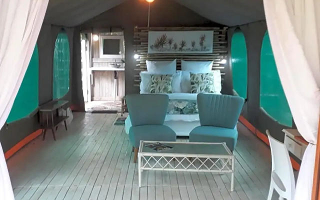 The Bird Hide
