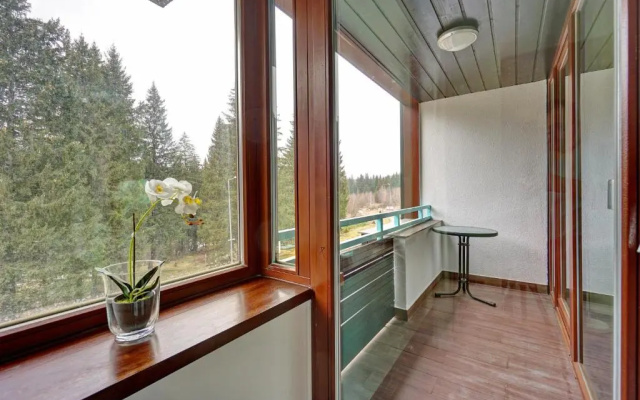 Silver Mountain Luxury Apartment A13