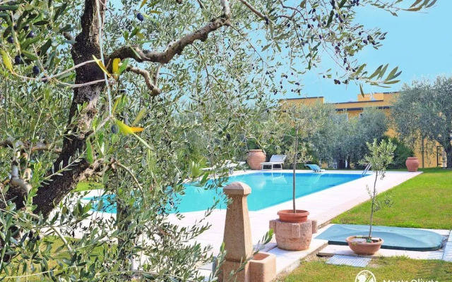 Agriturismo Monte Oliveto