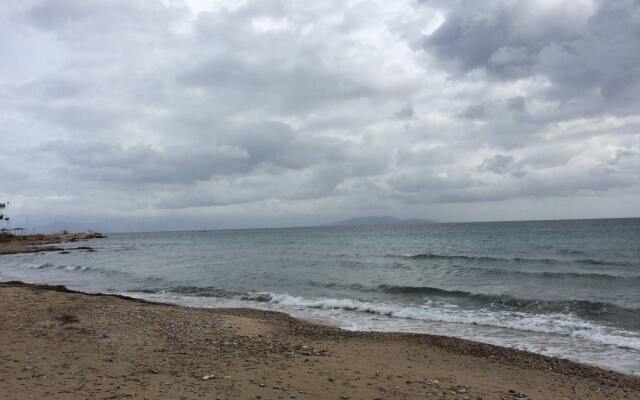 Апартаменты Beachfront Apartment Downtown пляж