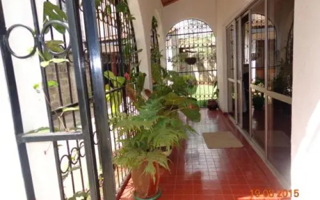 Vine Homes