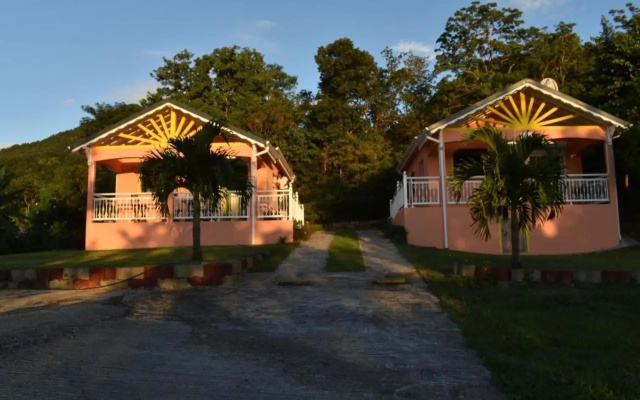 Creole Nest
