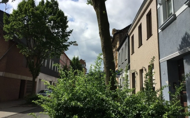 Schacht85