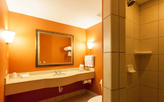 Hilton Garden Inn Chicago/Tinley Park