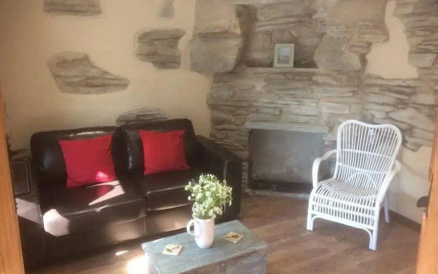 Grapes Hotel Maentwrog