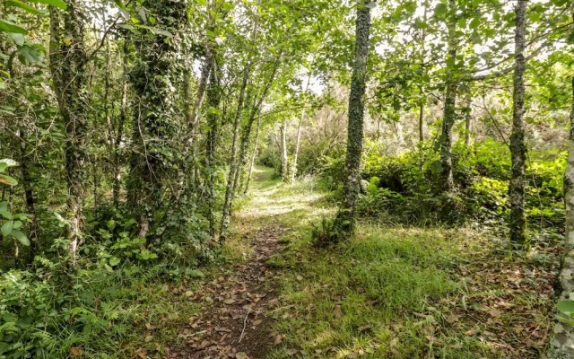 2 Merlin Lodge