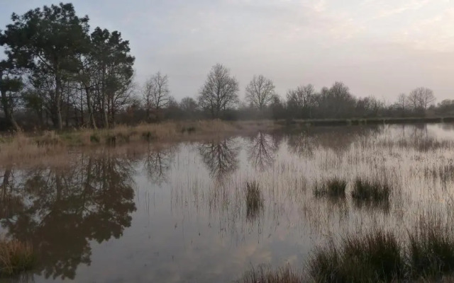 Gite Des Etangs