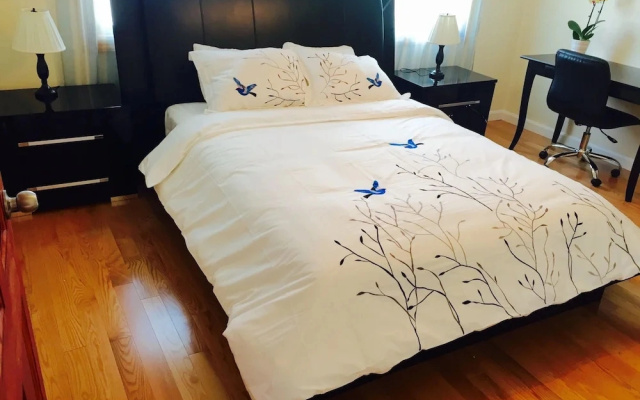 5 Beds 2 Bathroom Appartment