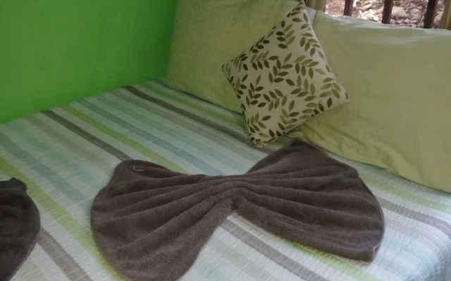 Manuel Antonio Comfort Casa Macaow