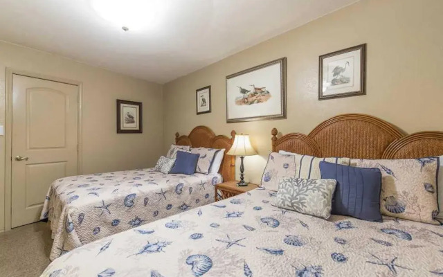 La International 206 by Padre Island Rentals