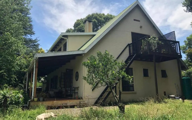 Silver Birch Studio