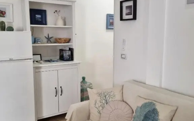 Sea Suite 26