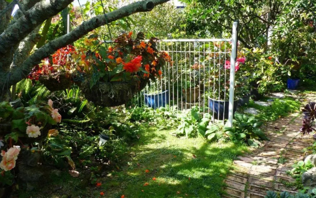 Ashcroft Gardens Bed Breakfast