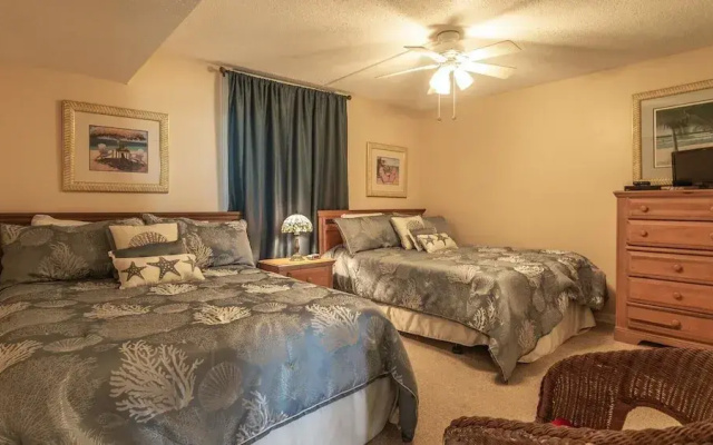 Dolphin Point 404b