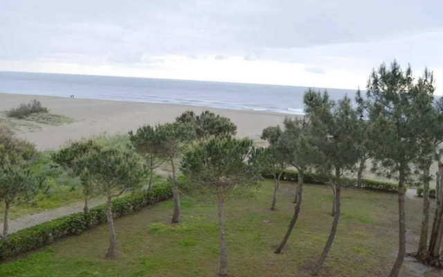 Appartement Argelès-sur-Mer, 1 pièce, 4 personnes - FR-1-225-100