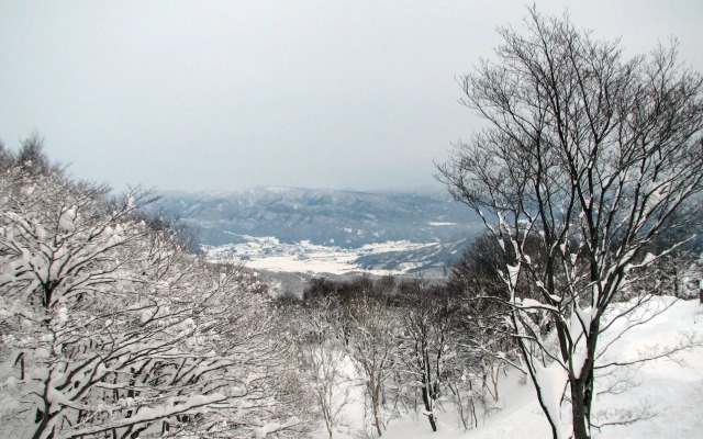 Rental Lodge WHITE RABBIT Madarao kogen Cottage RABBIT