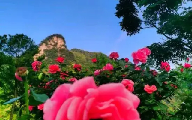 Chongqing Baihuagu Ecological Vacation Apartment