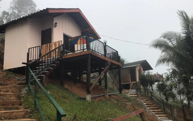 Forest Guesthouse