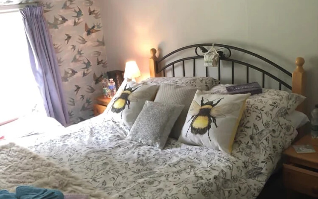 Forest view Bed and Breakfast