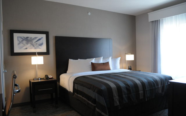Wingate by Wyndham Loveland