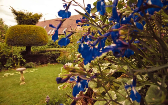 Yew Tree House B & B
