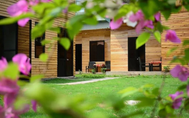 The Art - Golden Jungle House