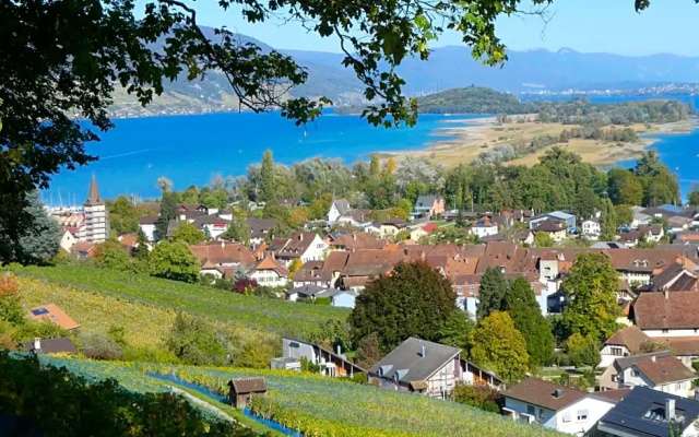 Bed and Breakfast La Petite Thielle