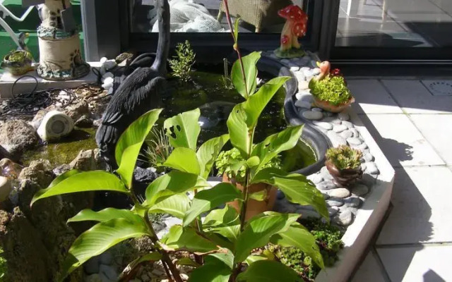 Au Jardin dEden