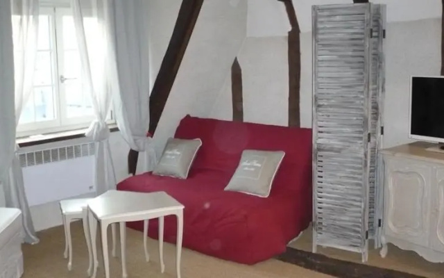 Le Gîte du Vieux Tours - 4 appartements de standing