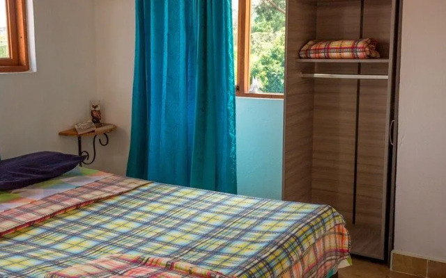 Hostal Apapachoa - Hostel