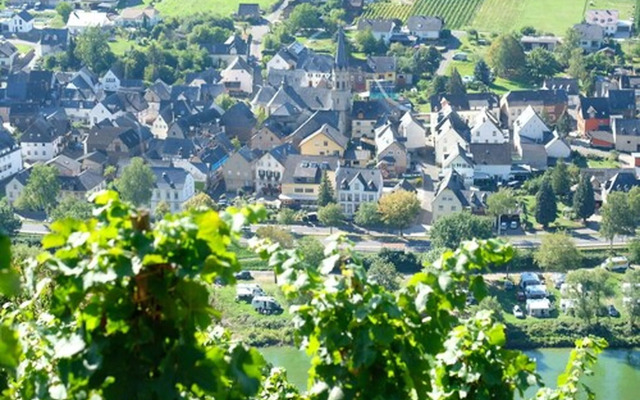 Weingut & Gästehaus Kaufmann-Schneider