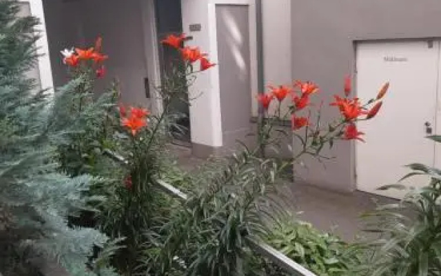 Apartment Dahlia