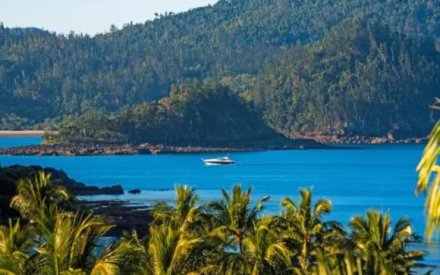 Superior Poinciana 011 on Hamilton Island