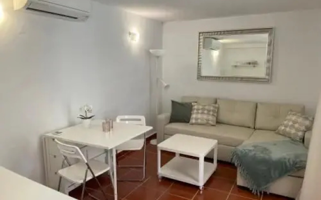 AP309 - Colon Atico