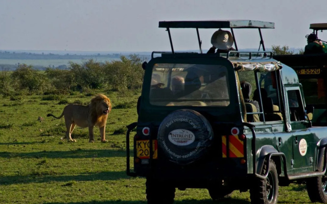 Mara Explorer