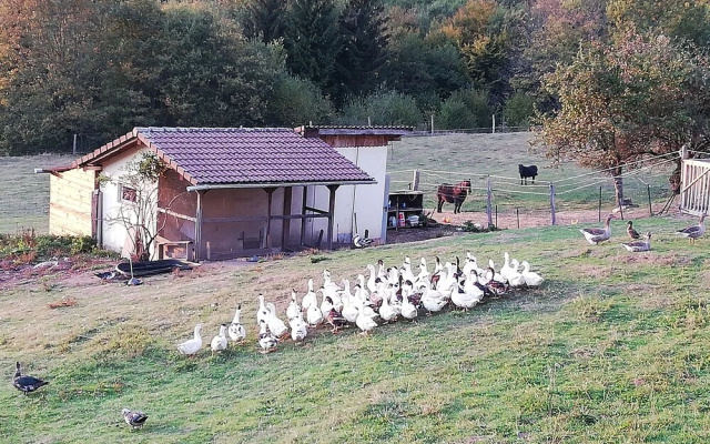 Ferme auberge à la colline