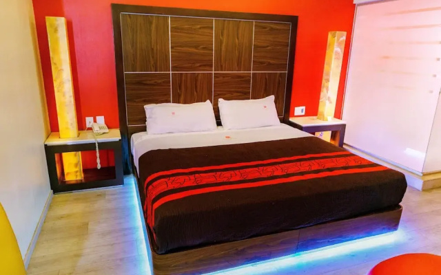 Plutarco Suites