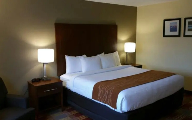 Rodeway Inn Savannah