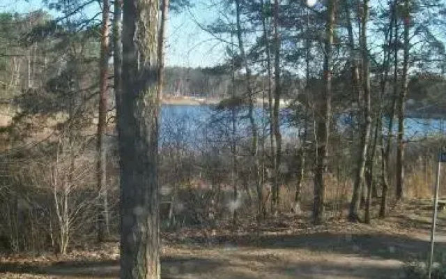 Domek Anna