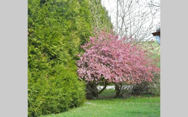 Domaine Des Montots (Adults Only)