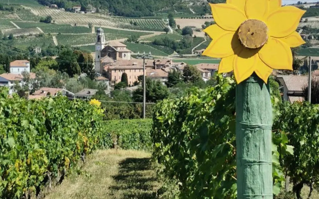 Agriturismo Mondoarancio