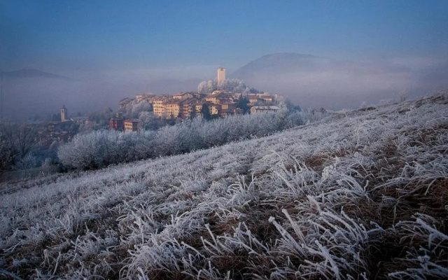 Feltre House